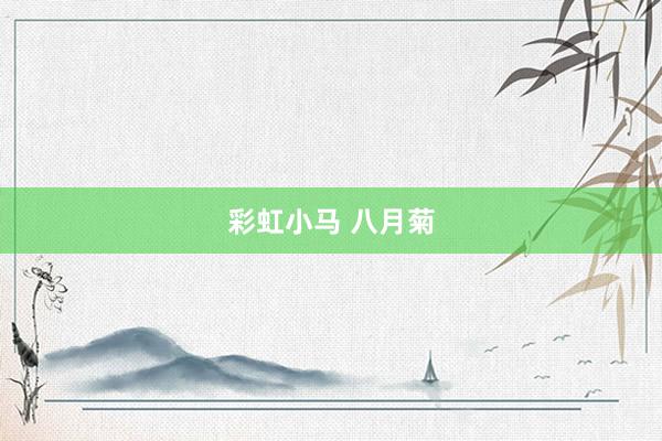 彩虹小马 八月菊