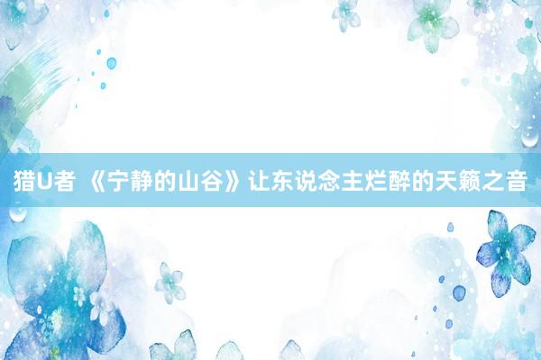 猎U者 《宁静的山谷》让东说念主烂醉的天籁之音