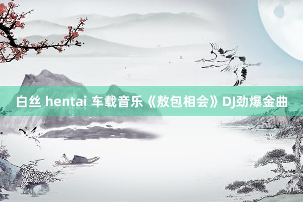 白丝 hentai 车载音乐《敖包相会》DJ劲爆金曲