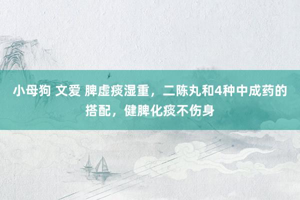 小母狗 文爱 脾虚痰湿重，二陈丸和4种中成药的搭配，健脾化痰不伤身
