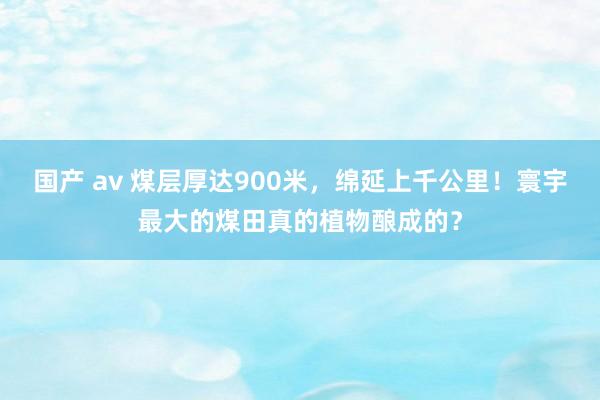 国产 av 煤层厚达900米，绵延上千公里！寰宇最大的煤田真的植物酿成的？