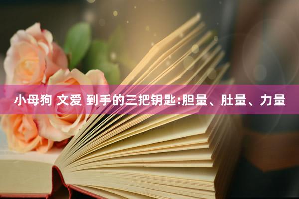 小母狗 文爱 到手的三把钥匙:胆量、肚量、力量