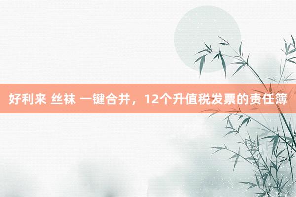 好利来 丝袜 一键合并，12个升值税发票的责任簿
