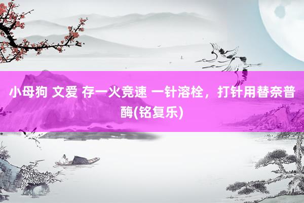 小母狗 文爱 存一火竞速 一针溶栓，打针用替奈普酶(铭复乐)
