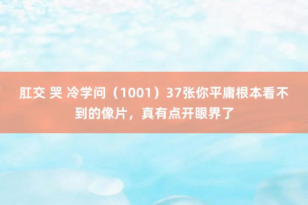 肛交 哭 冷学问（1001）37张你平庸根本看不到的像片，真有点开眼界了